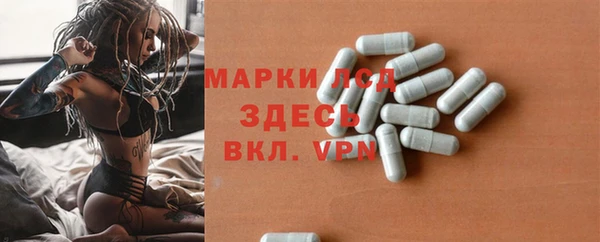 прущая мука Вяземский