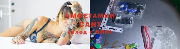 прущая мука Вяземский