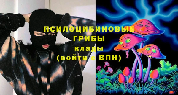 прущая мука Вяземский