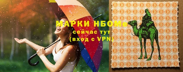 прущая мука Вяземский