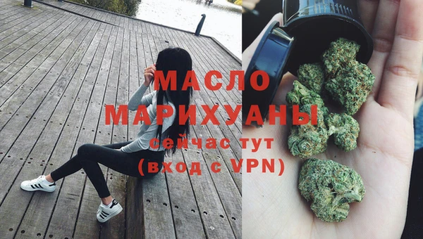 прущая мука Вяземский