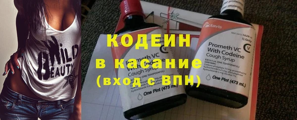 прущая мука Вяземский