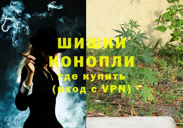 прущая мука Вяземский