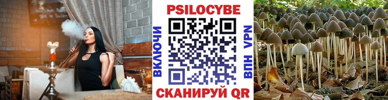 Псилоцибиновые грибы GOLDEN TEACHER  Купить закладки  Моздок 
